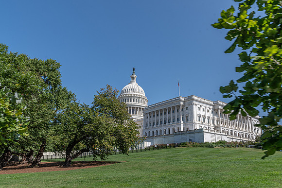 NBP_14 Capital-15