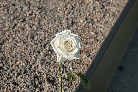 NBP_02-34