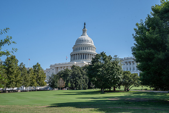 NBP_04 Capital-8