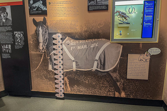 NBP_15 Marine Museum-10