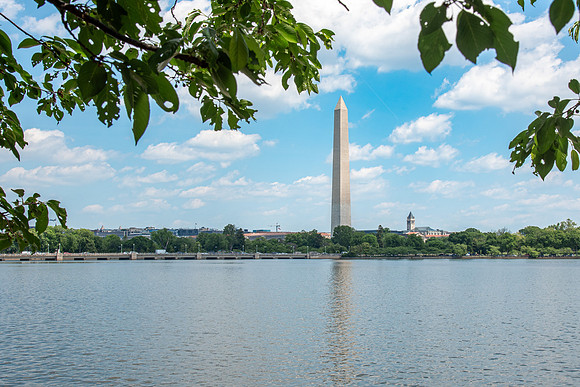 FDR _NBP-1