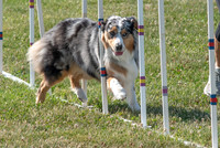 NBP_agility practice 6.22.19-7
