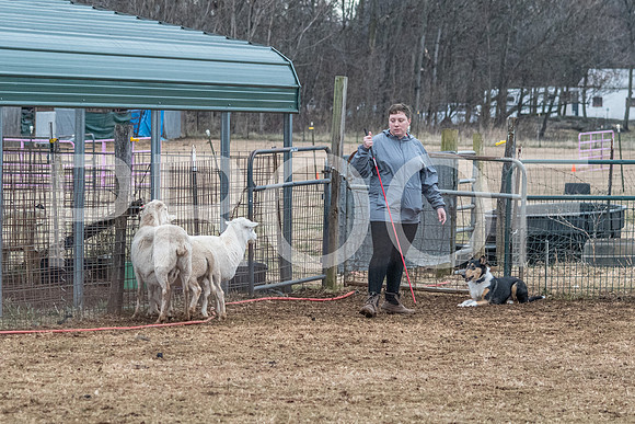 NBP_Sat Herding Test Roy Johnson-112
