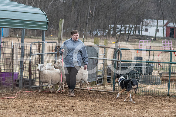NBP_Sat Herding Test Roy Johnson-98