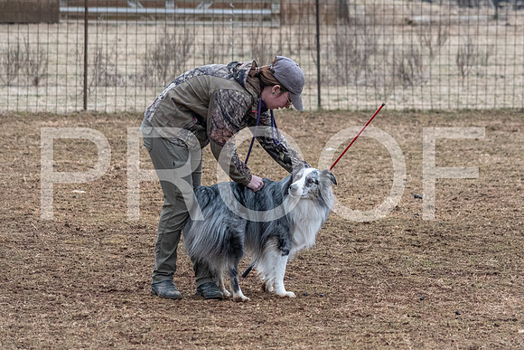 NBP_Sat Herding Test Roy Johnson-61