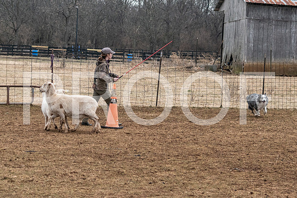 NBP_Sat Herding Test Roy Johnson-58