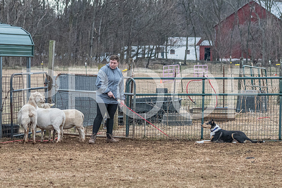 NBP_Sat Herding Test Roy Johnson-113