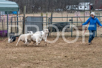 NBP_Sat Herding Test Roy Johnson-3