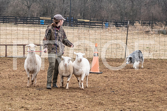 NBP_Sat Herding Test Roy Johnson-59