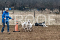 Sat Herding Test Roy Johnson