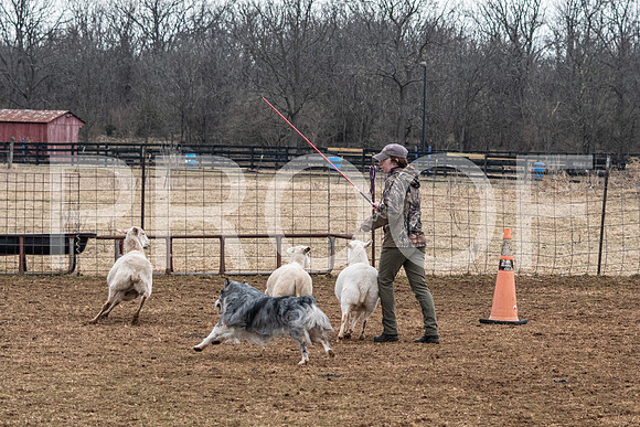 NBP_Sat Herding Test Roy Johnson-57
