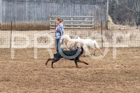 NBP_Sat Herding Test Roy Johnson-15