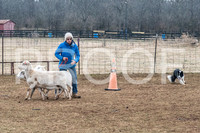NBP_Sat Herding Test Roy Johnson-8