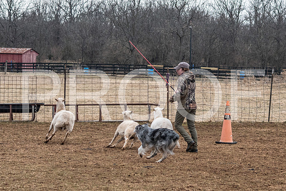 NBP_Sat Herding Test Roy Johnson-56