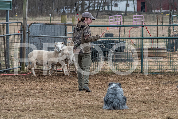 NBP_Sat Herding Test Roy Johnson-49