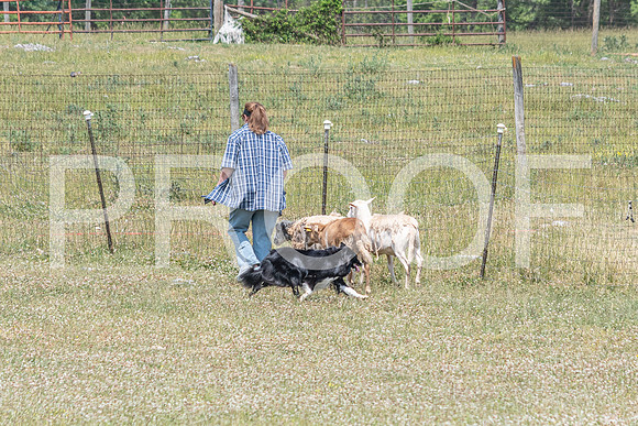 NBD_June 2023 Herding Pre Trial Sat-70