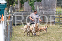 NBD_June 2023 Herding Pre Trial Sat-9