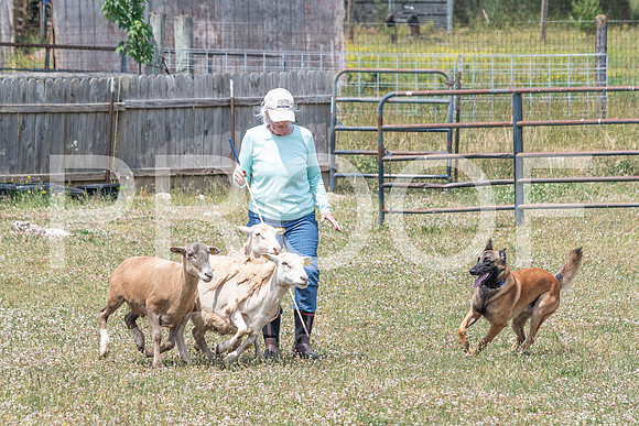NBD_June 2023 Herding Pre Trial Sat-38