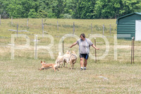 NBD_June 2023 Herding Pre Trial Sat-4