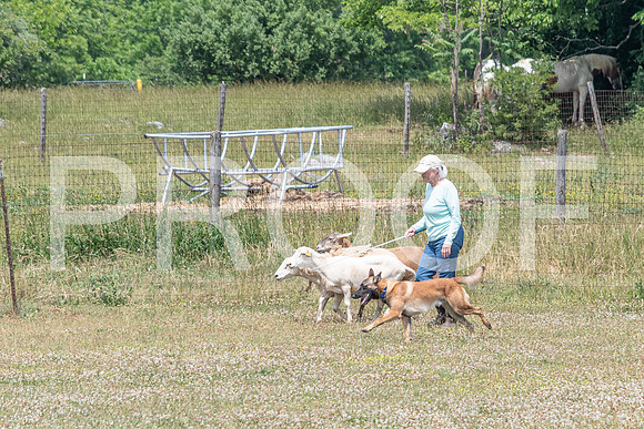 NBD_June 2023 Herding Pre Trial Sat-31
