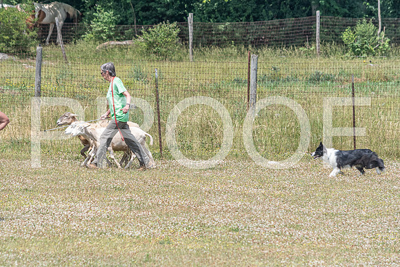 NBD_June 2023 Herding Pre Trial Sat-113
