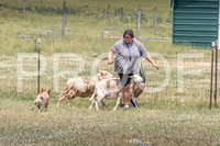 NBD_June 2023 Herding Pre Trial Sat-13