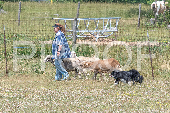 NBD_June 2023 Herding Pre Trial Sat-73