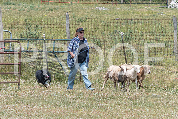 NBD_June 2023 Herding Pre Trial Sat-60