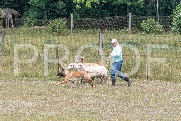 NBD_June 2023 Herding Pre Trial Sat-28