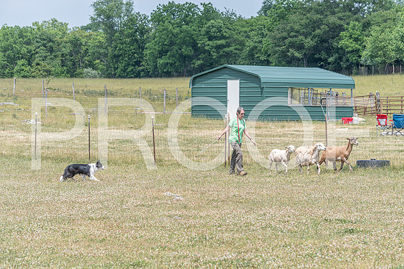 NBD_June 2023 Herding Pre Trial Sat-119