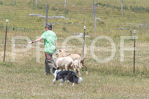 NBD_June 2023 Herding Pre Trial Sat-109