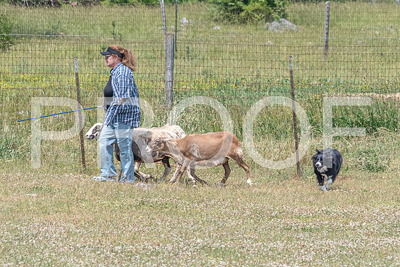NBD_June 2023 Herding Pre Trial Sat-76