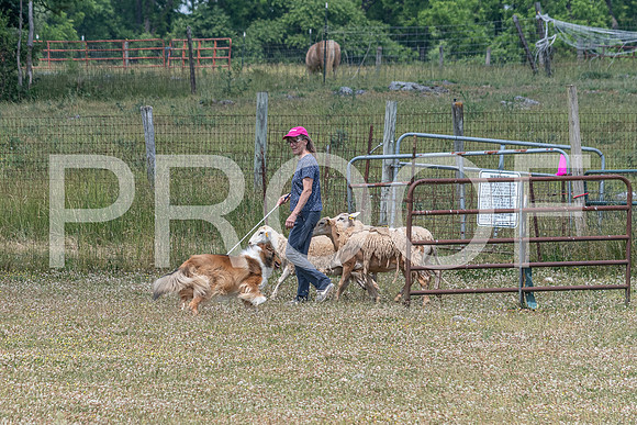 NBD_June 2023 Herding Pre Trial Sat-88