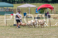 NBD_June 2023 Herding Pre Trial Sat-14