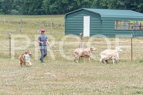 NBD_June 2023 Herding Pre Trial Sat-104