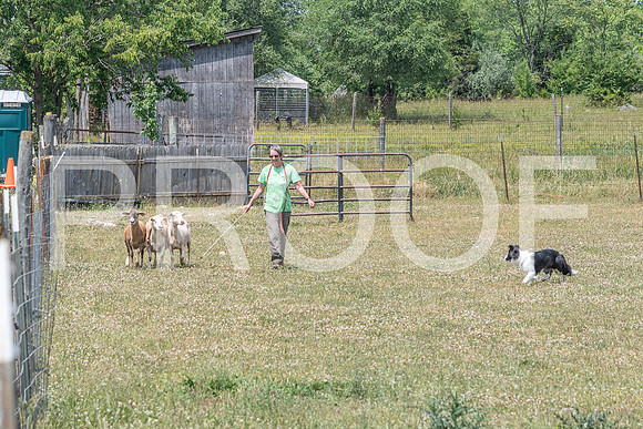 NBD_June 2023 Herding Pre Trial Sat-114