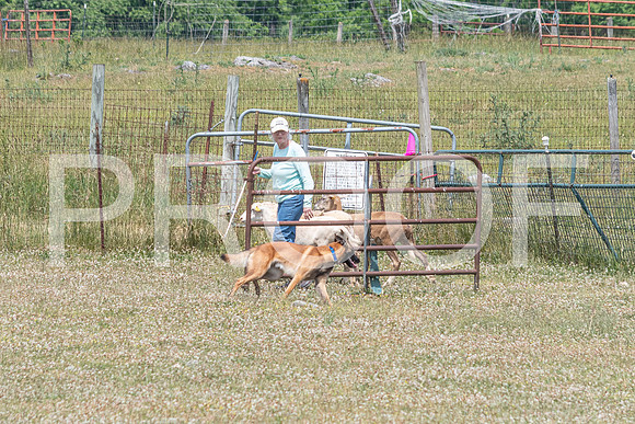 NBD_June 2023 Herding Pre Trial Sat-26