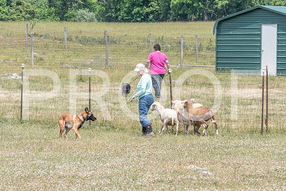 NBD_June 2023 Herding Pre Trial Sat-25