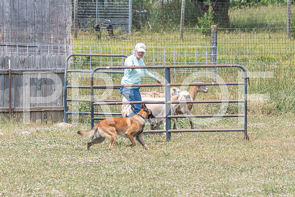 NBD_June 2023 Herding Pre Trial Sat-41