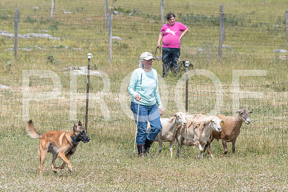 NBD_June 2023 Herding Pre Trial Sat-47