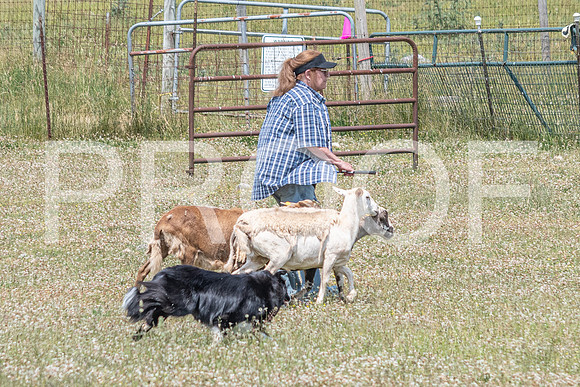 NBD_June 2023 Herding Pre Trial Sat-66