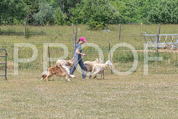 NBD_June 2023 Herding Pre Trial Sat-99