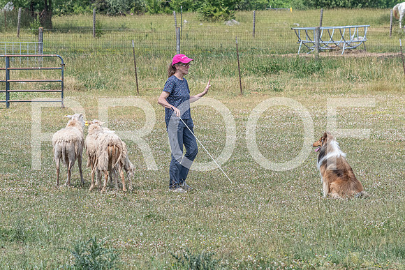 NBD_June 2023 Herding Pre Trial Sat-97