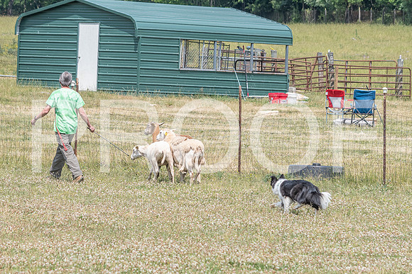 NBD_June 2023 Herding Pre Trial Sat-107