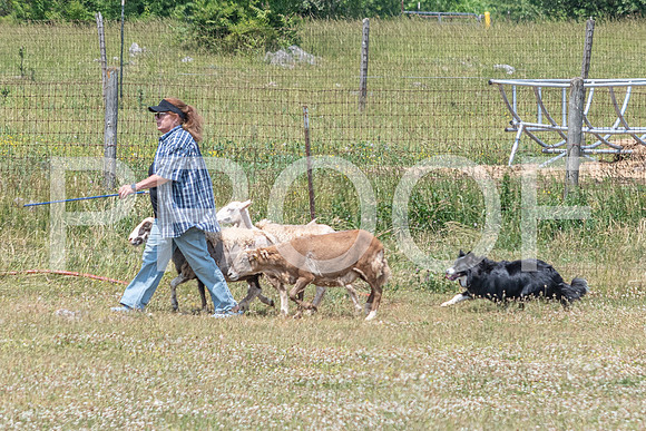 NBD_June 2023 Herding Pre Trial Sat-75