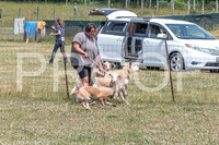 NBD_June 2023 Herding Pre Trial Sat-17
