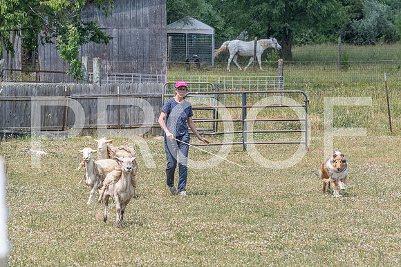 NBD_June 2023 Herding Pre Trial Sat-94