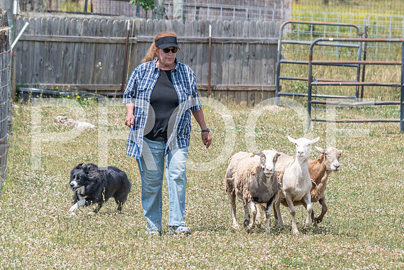 NBD_June 2023 Herding Pre Trial Sat-82