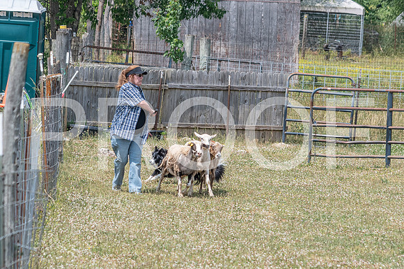 NBD_June 2023 Herding Pre Trial Sat-80