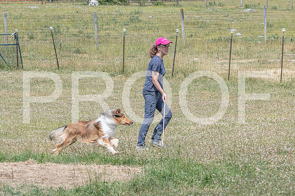 NBD_June 2023 Herding Pre Trial Sat-85